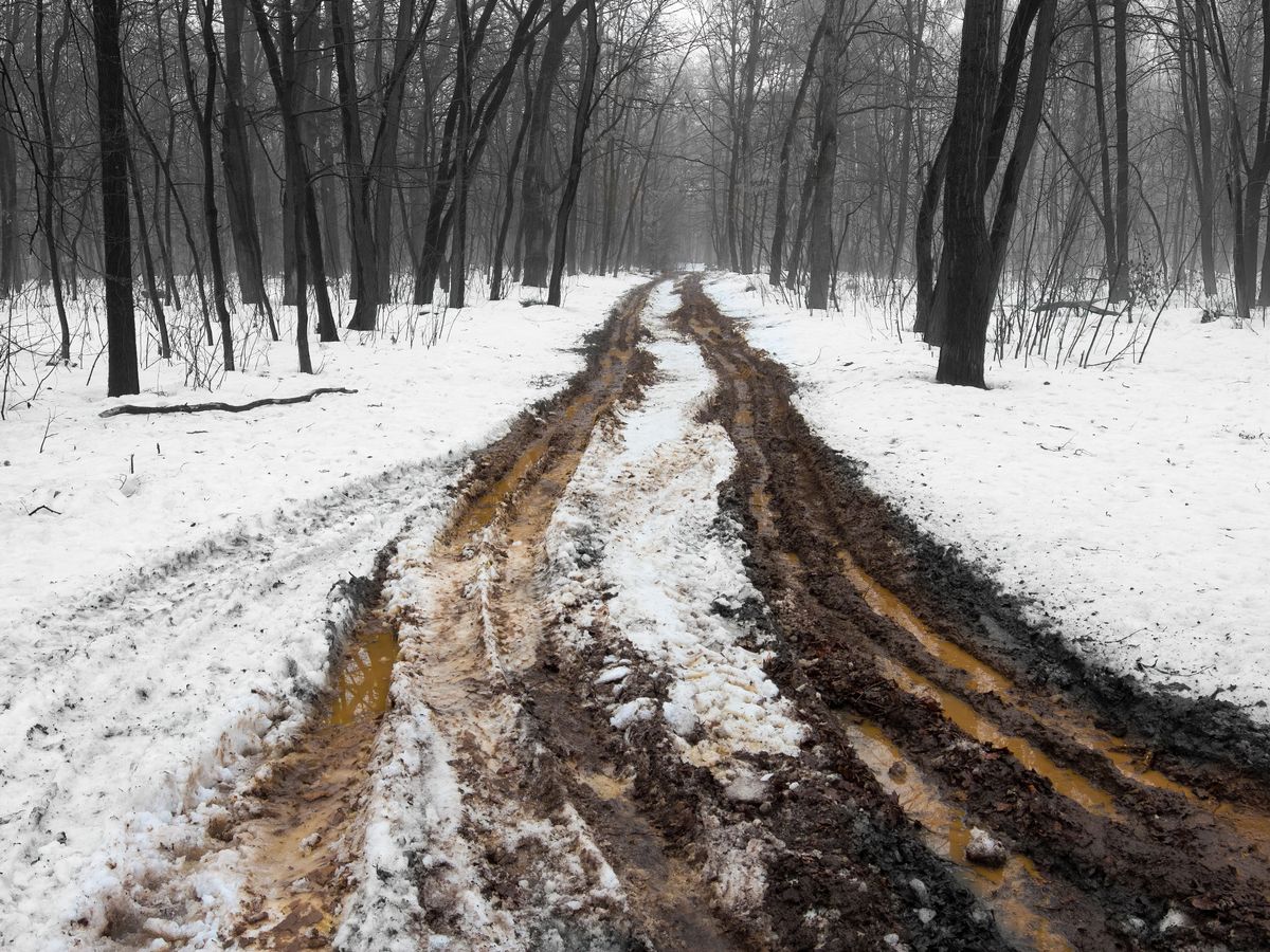 Extremely,Dirty,Muddy,Road,In,The,Forest.,Soil,Damaged,By