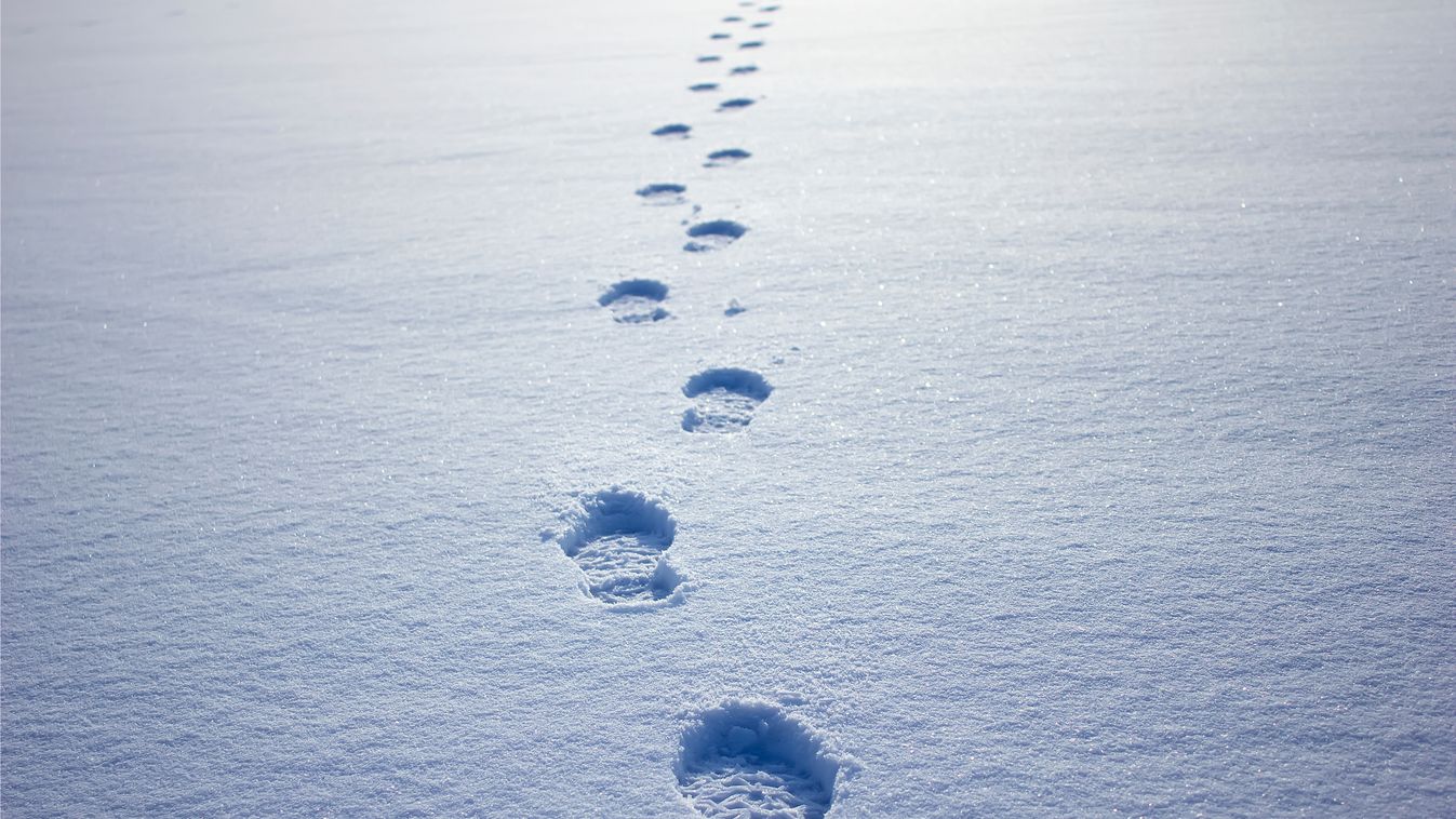 Human,Footprints,In,The,Snow,Under,Sunlight,Close-up,View