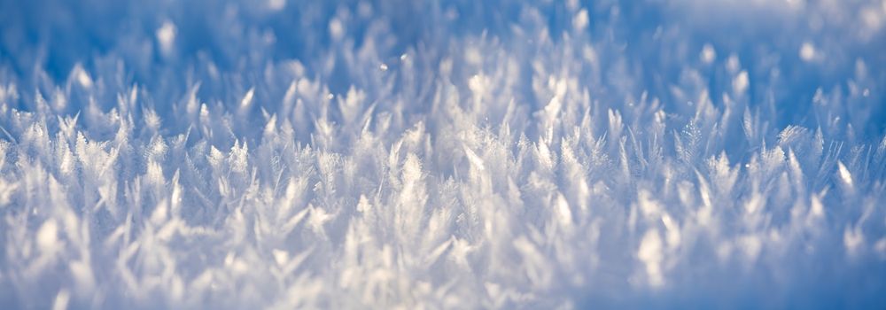 Snow,Flake,Panorama,With,Macro,Ice,Formations,–,Crystalline,Structures