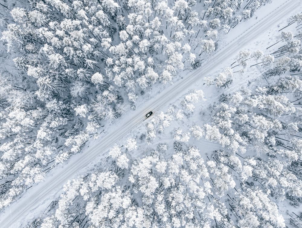 Forest,In,Snow.,Snowy,Forest,Road.,Forest,Road,From,Above