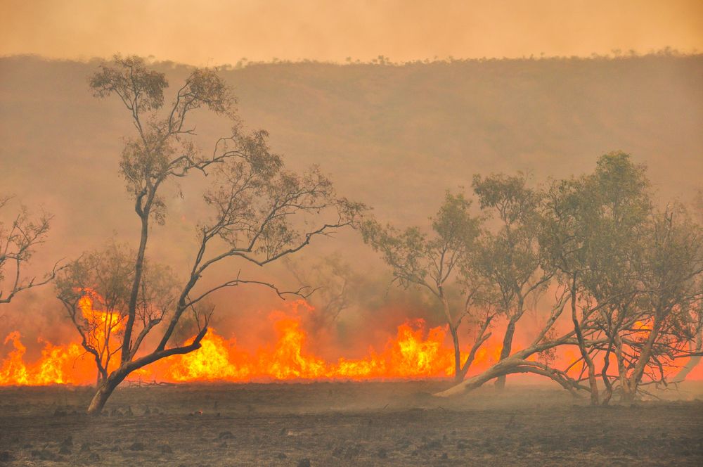 Australian,Outback,Bush,Fires