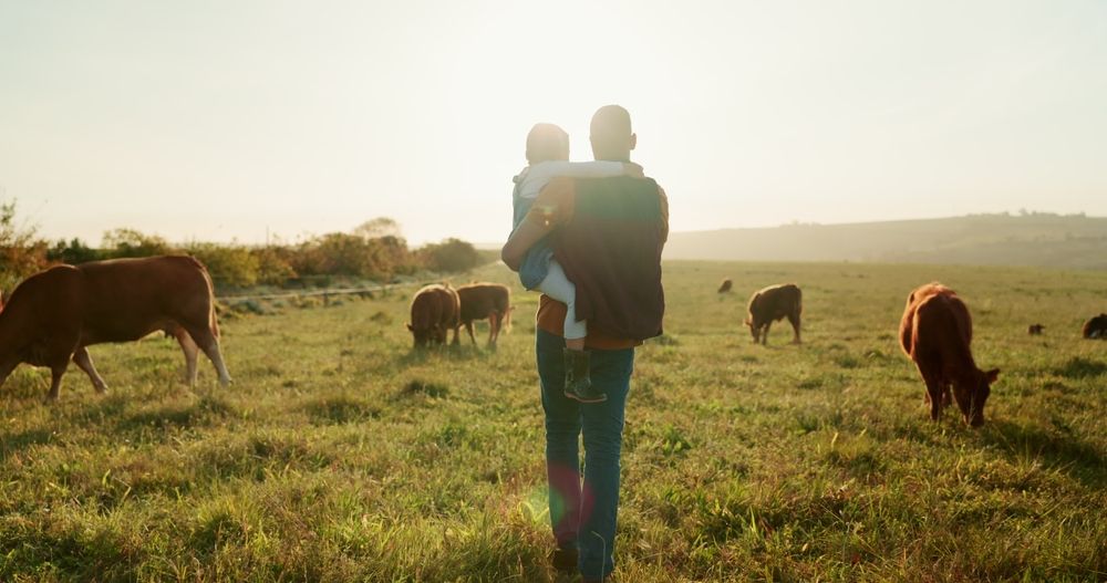 Family,,Farm,And,Cattle,With,A,Girl,And,Father,Walking