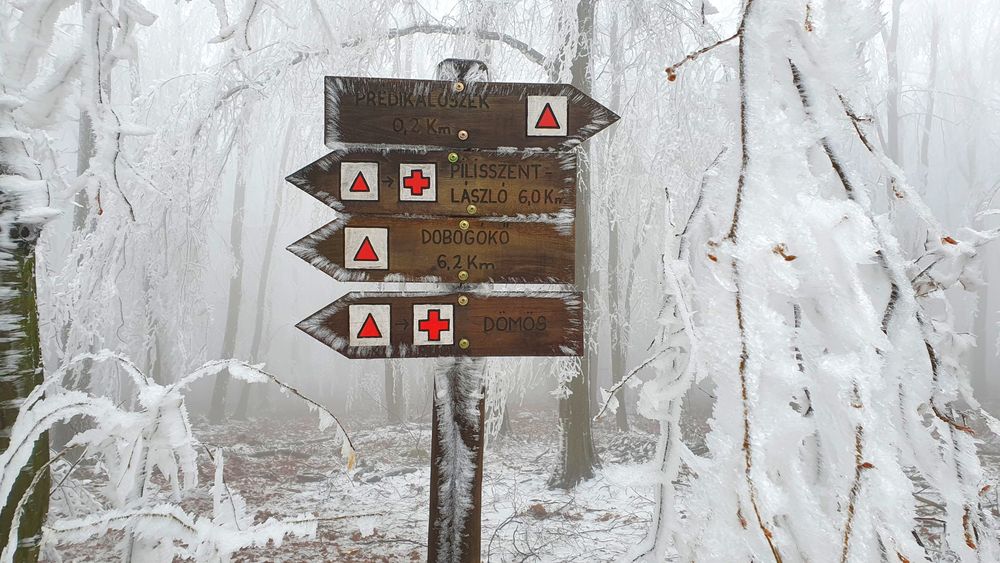 Tourist,Sign,In,The,Forest,In,Winter.,Predikaloszek,,Hungary,December