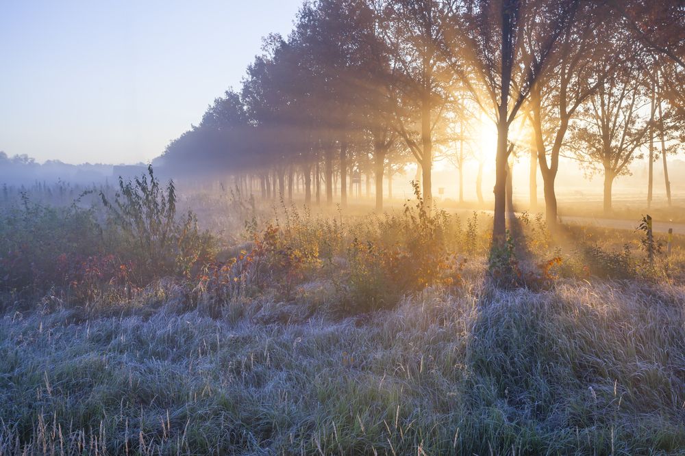 Beautiful,Sunrise,With,Frost