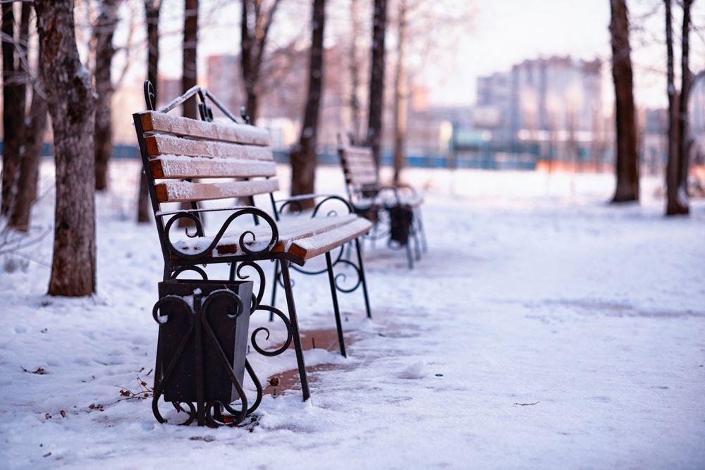 Park,Bench,On,A,Winter,Alley,At,Snowfall.,Bench,With