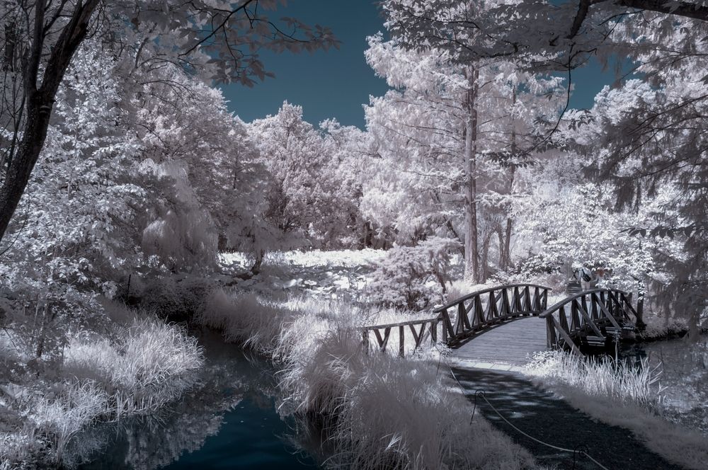 Infrared,View,From,Vacratot,Botanical,Garden,Hungary