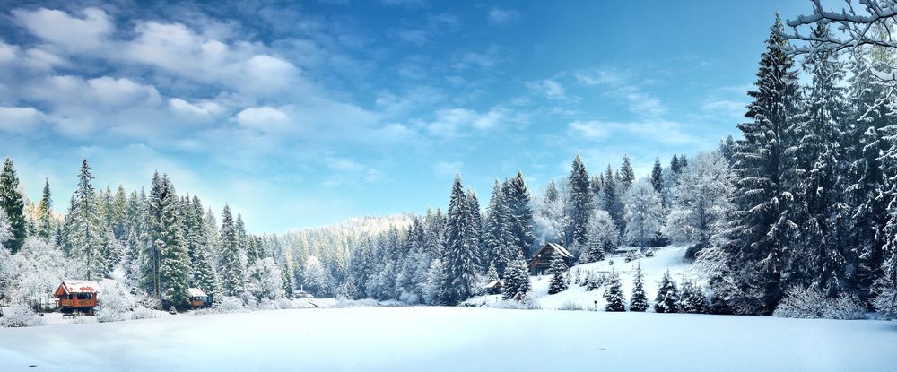 Winter,Forest,In,The,Carpathians,On,Lake,Vito