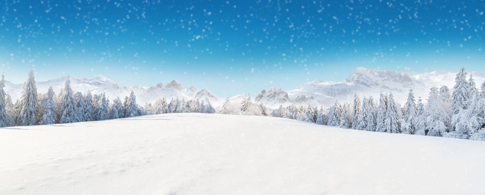 Beautiful,Winter,Panorama,With,Fresh,Powder,Snow.,Landscape,With,Spruce