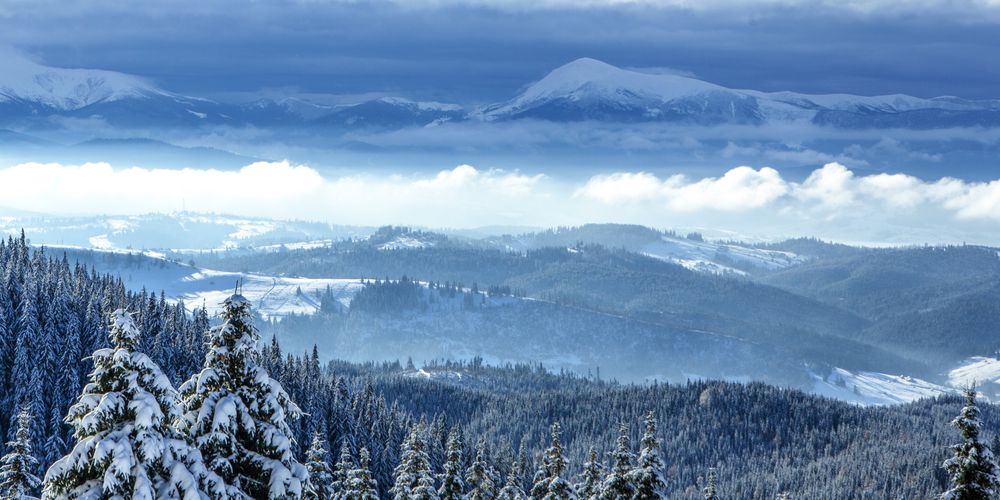 Panoramic,View,Over,Carpathian,Mountains,In,Wintertime.