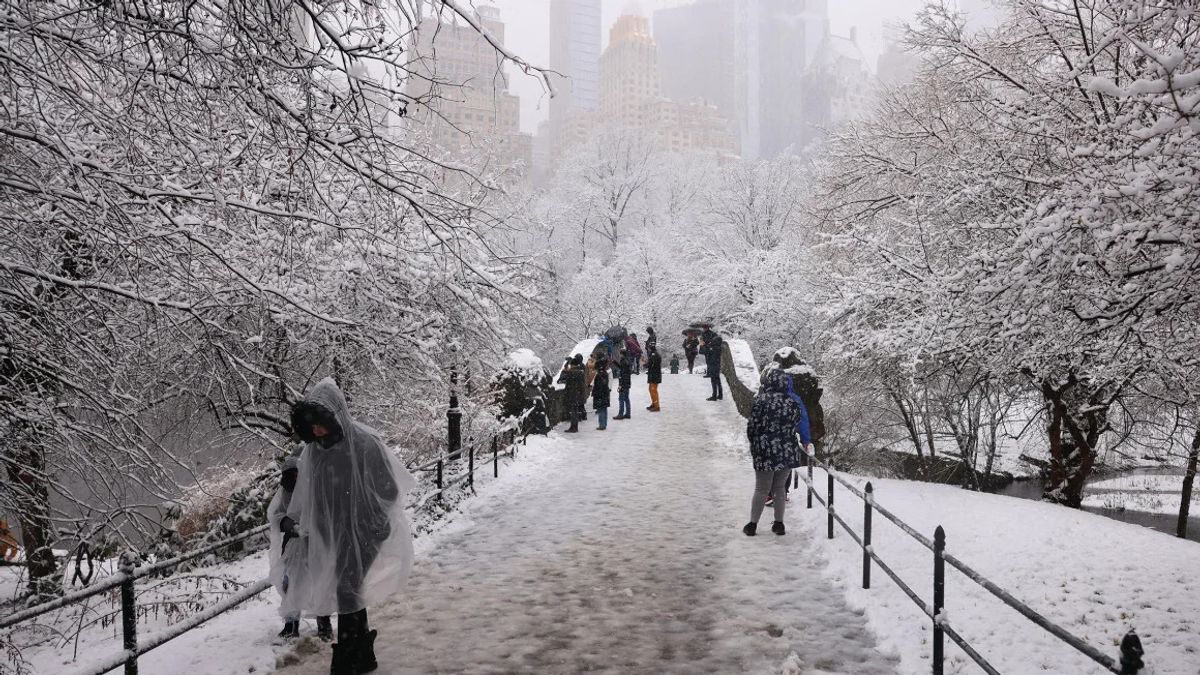 Jelentős havazás az USA északkeleti részén, New York is kifehéredett