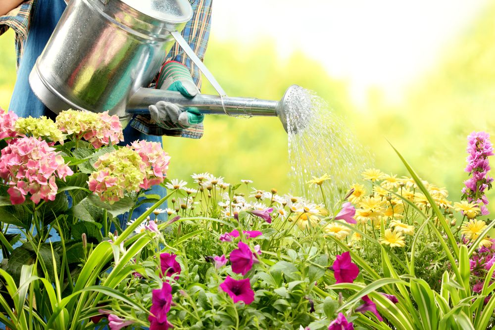 Watering,Flowers,In,Garden,Centre