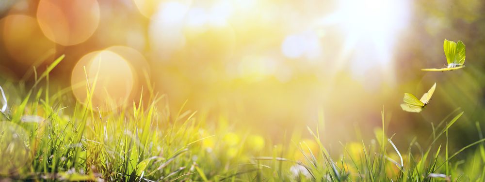Art,Abstract,Spring,Background,Or,Summer,Background,With,Fresh,Grass