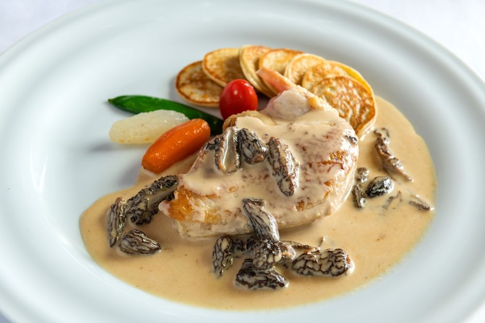 Traditional,French,Plate,Named,Chicken,With,Morels,And,Cream