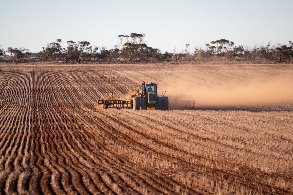Farmer,Dry,Sowing,Wheat,With,Gps-guided,Direct,Seeder,In,Kimba,