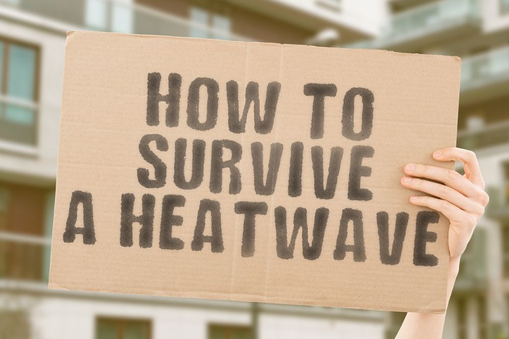 The,Phrase,",How,To,Survive,A,Heatwave,",Is