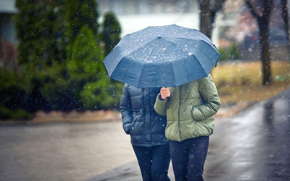 Two,Mid,Aged,Women,Walking,Under,Umbrella,During,Snowfall,In