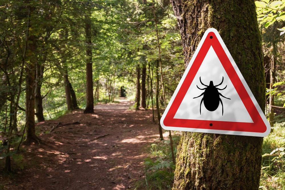Infected,Ticks,Warning,Sign,In,A,Forest.,Risk,Of,Tick-borne