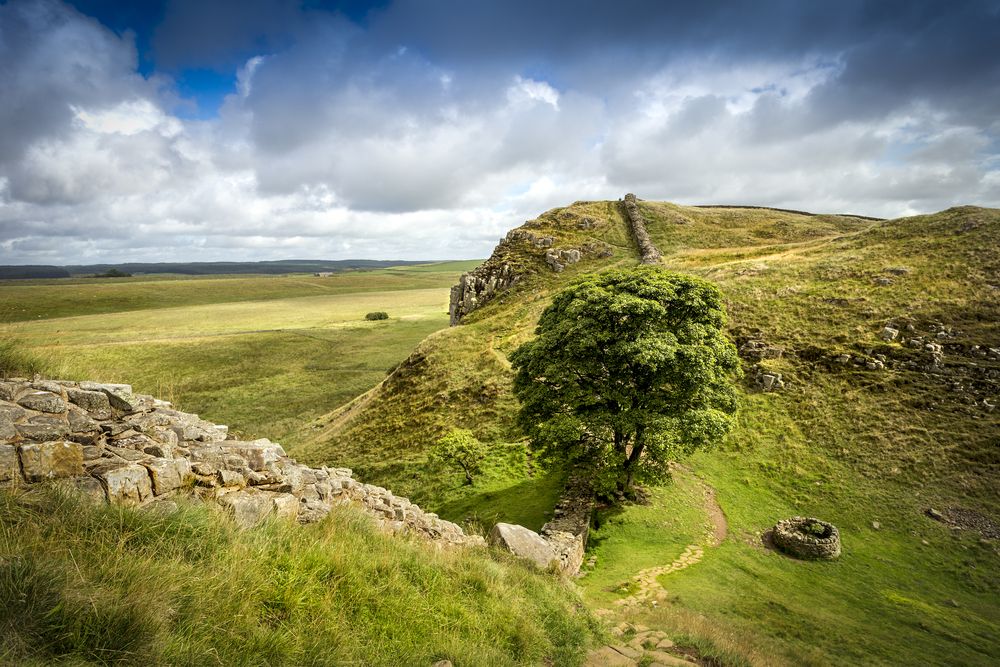 Sycamore,Gap,On,Hadrians,Wall,In,Northumberland.this,Iconic,Tree,Was