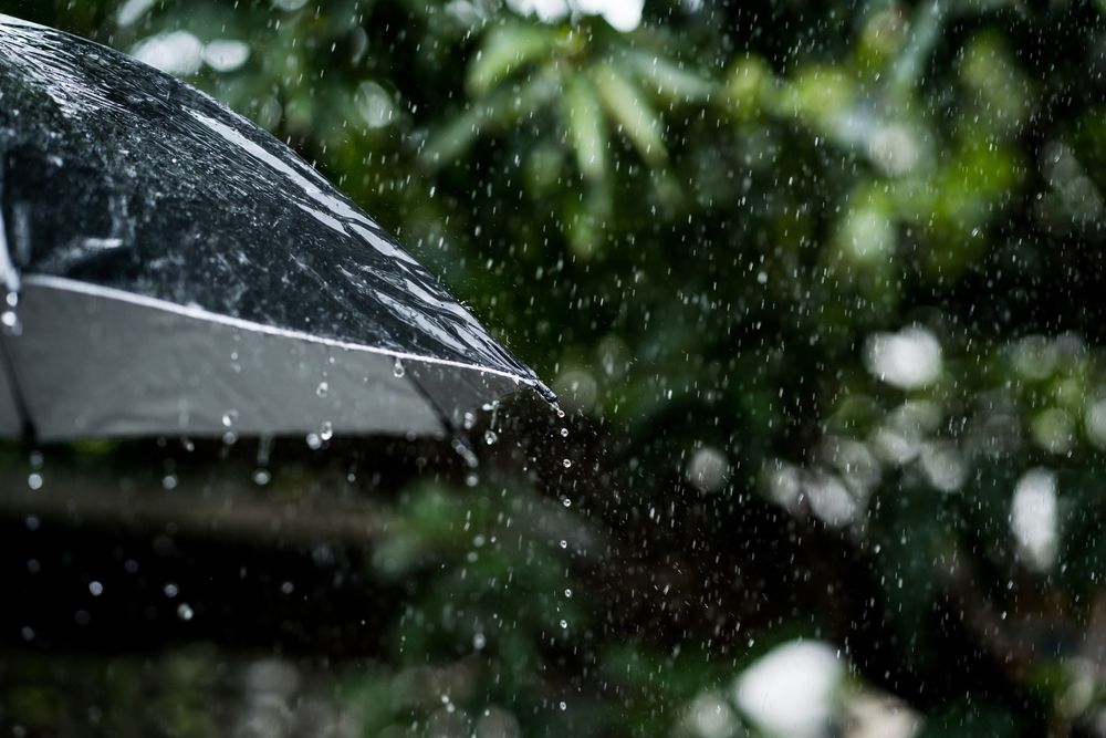 Close-up,Of,Water,Droplets,On,A,Black,Umbrella,On,A
