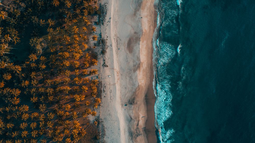 Mexican,Beach,Drone,,Top,View