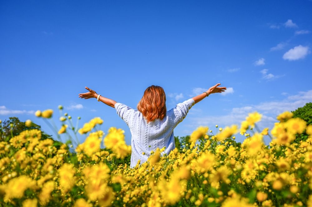 Happy,Young,Woman,Enjoying,In,Yellow,Chrysanthemum,Field.