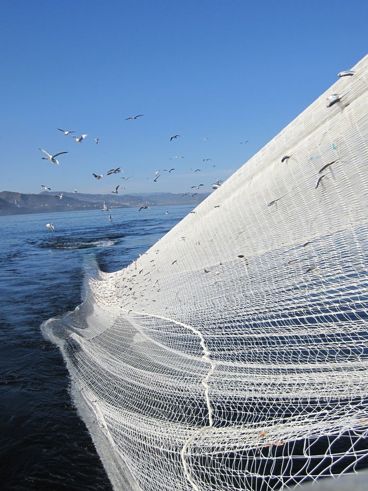 Fishing,Net,From,Fisheries,Vessel