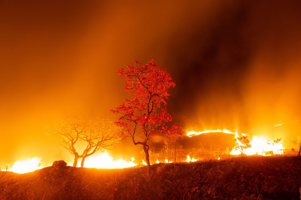 Brazília,tűzvész,Pantanal,2020