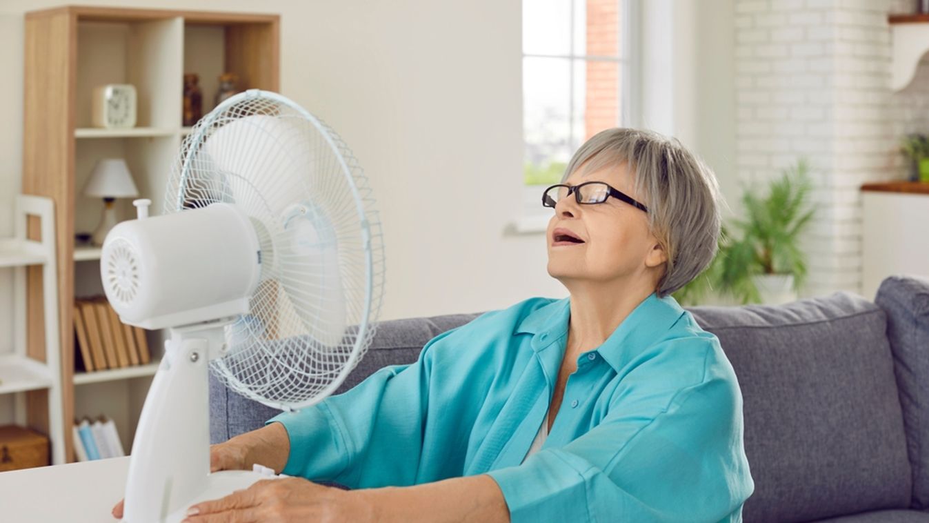 Senior,Woman,,Exhausted,From,Sweltering,Summer,Heat,,Uses,Electric,Fan