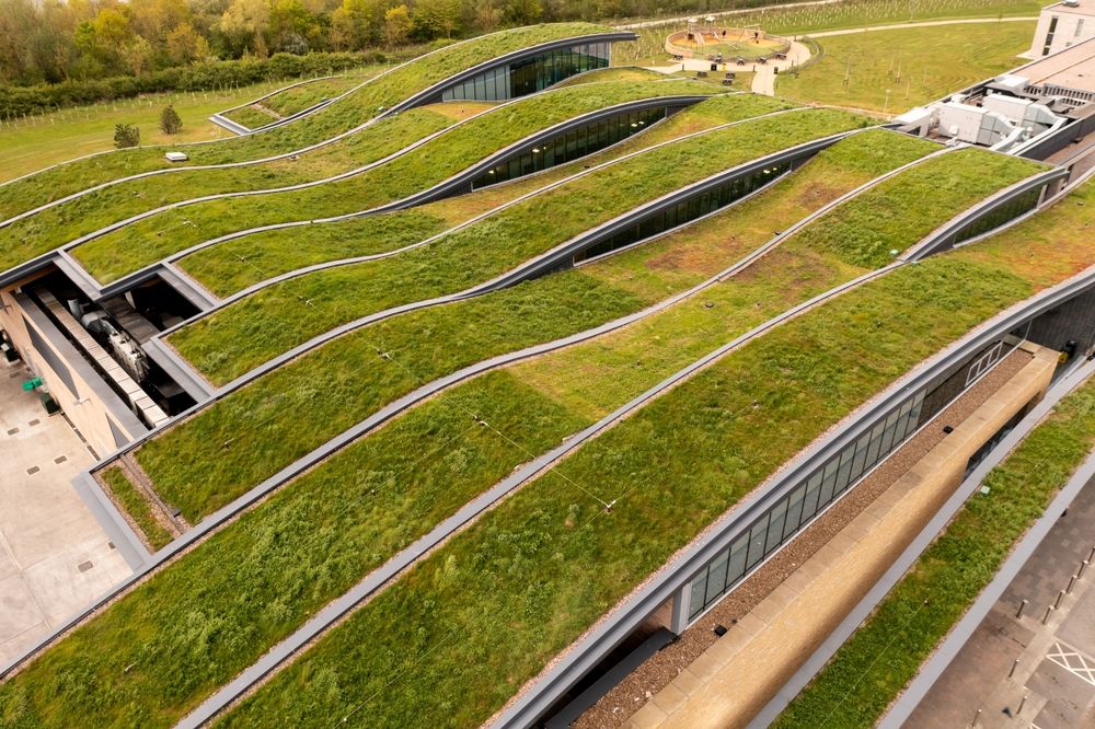 Aerial,View,Of,The,Extensive,Wildflower,Green,Roof,Or,Living