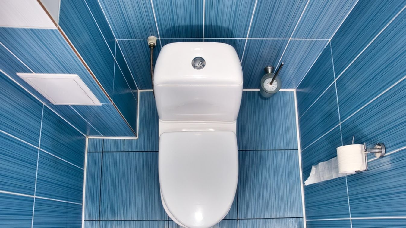 White,Toilet,With,Closed,Lid,In,Toilet,With,Blue,Tiled