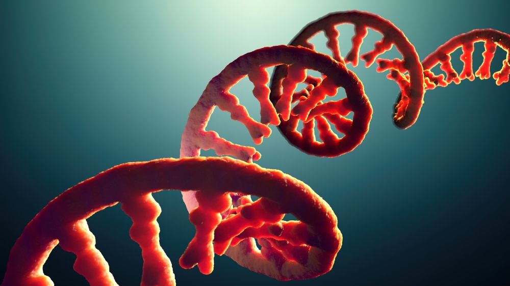 Single-stranded,Molecule,Of,Rna,Called,Messenger,Ribonucleic,Acid,-,3d