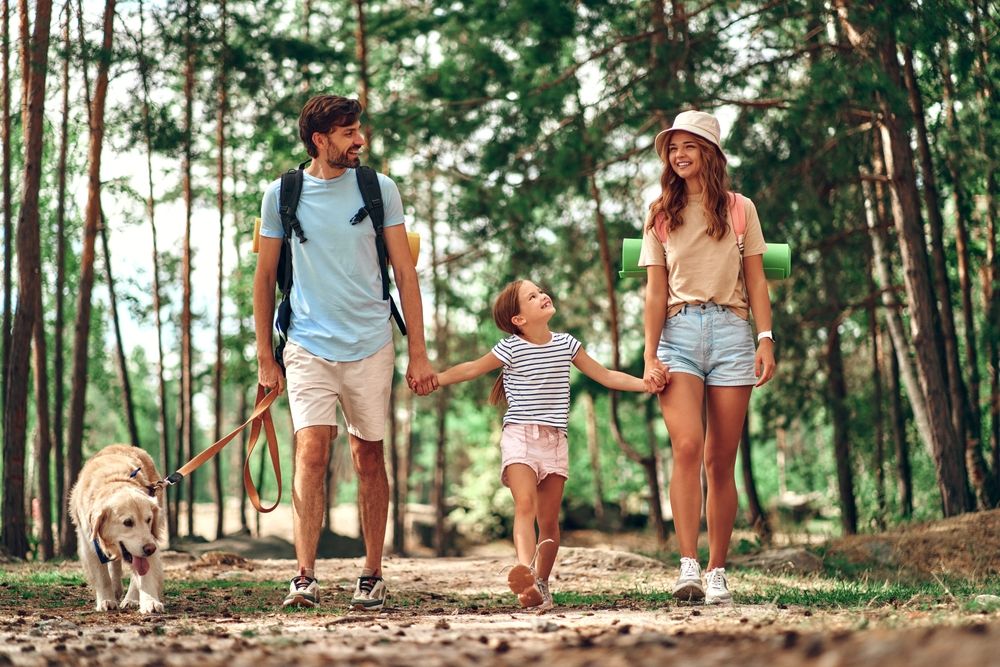 Happy,Family,With,Backpacks,And,Labrador,Dog,Are,Walking,In