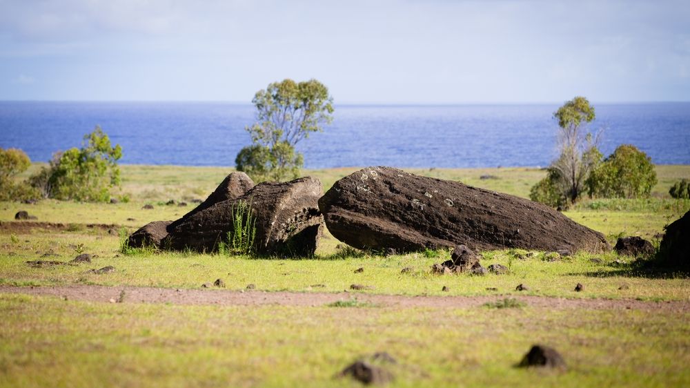 A,Fallen,Moai,At,Rano,Raraku,On,The,Coast,Of