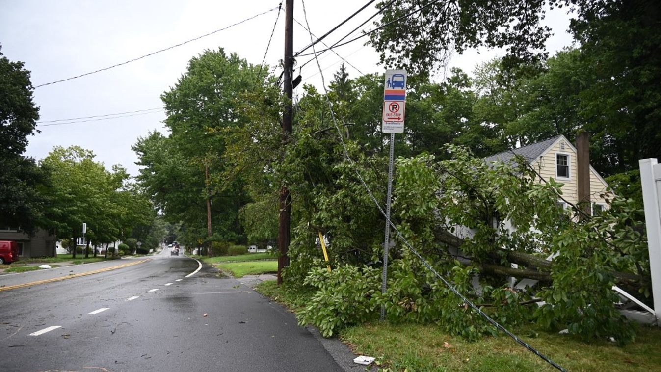 Severe Weather Causes Tree To Damage Home And A Fence With Power Lines Destroyed In Hillsdale New Jersey