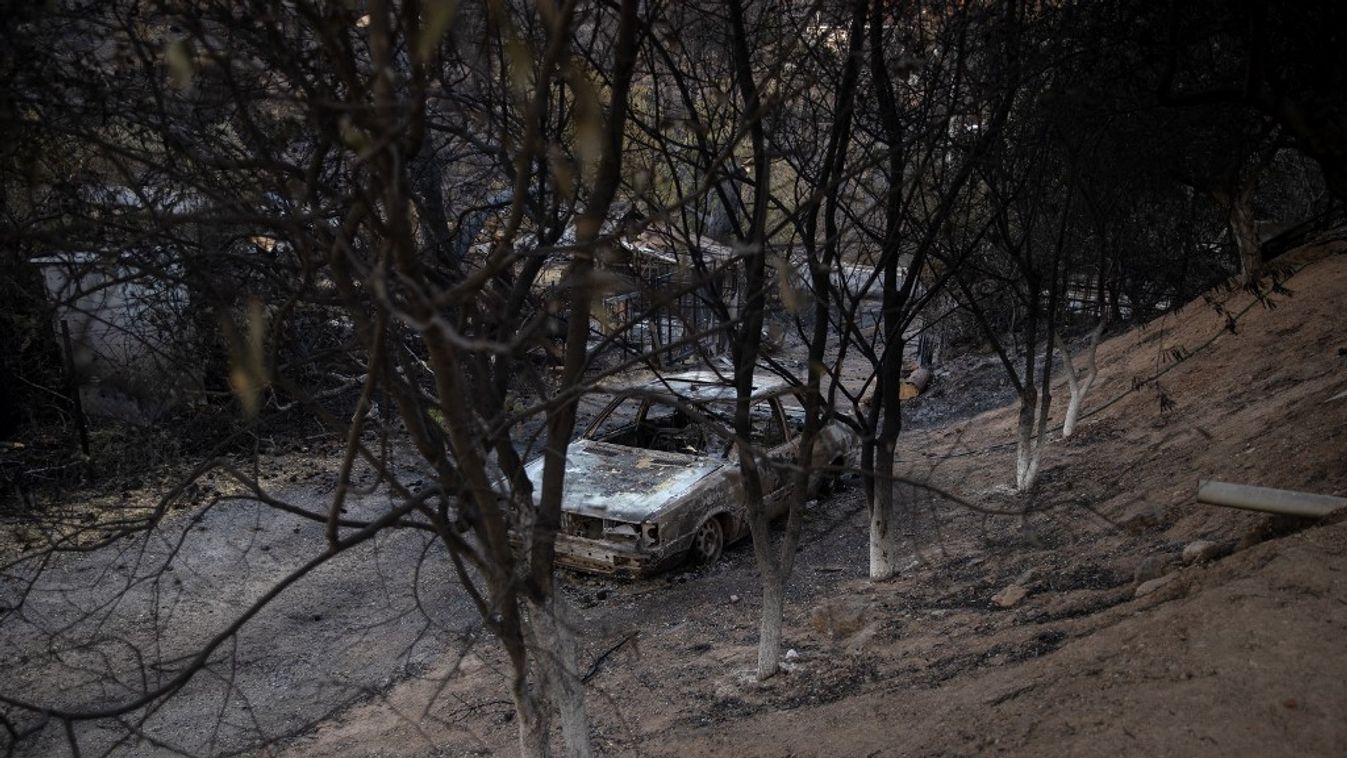 Nearly 100 thousand acres burned in wildfire in Greece