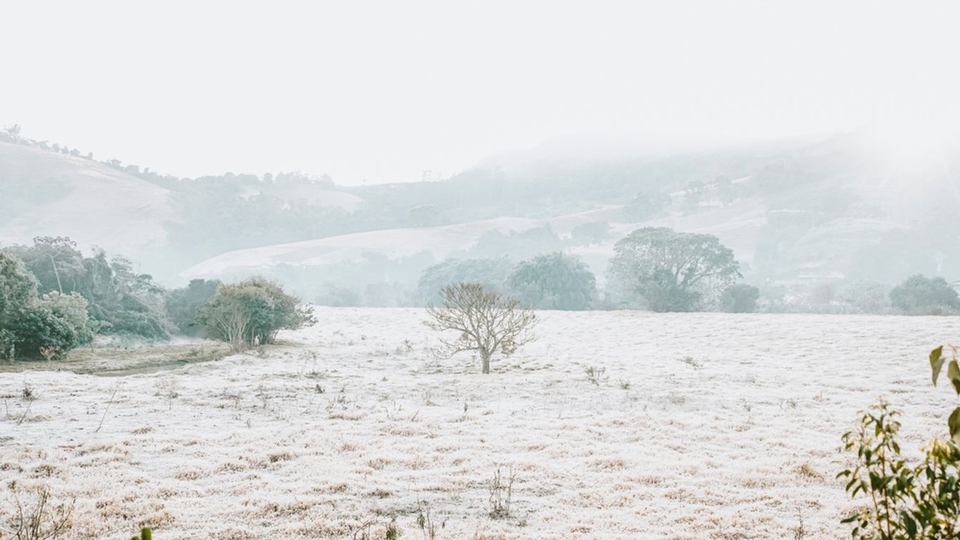 Morning,Winter,Rural,Landscape,And,Forest,In,Brazil,2021