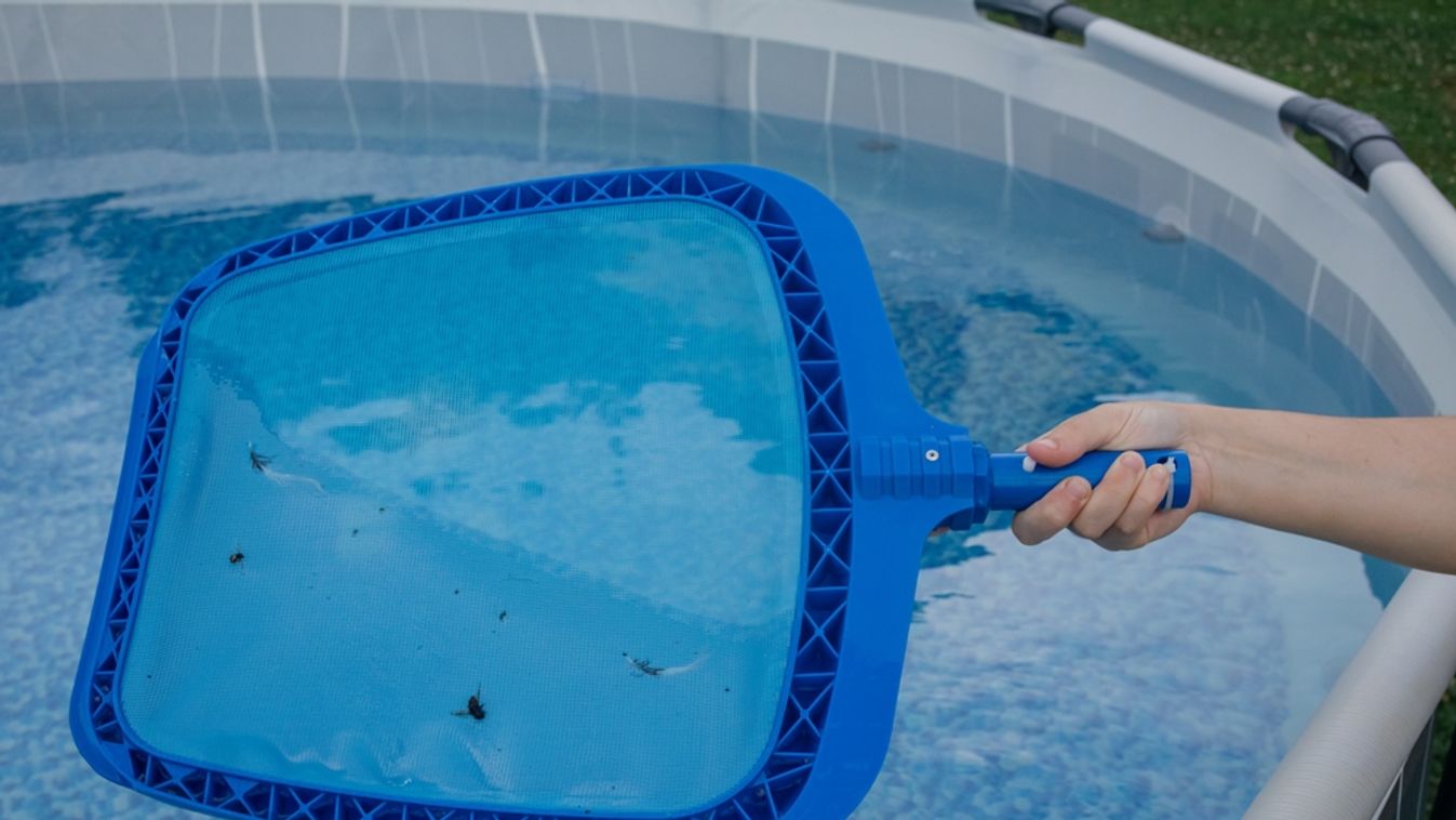 Woman,Cleaning,Swimming,Pool,Of,Bugs,With,Net,In,Summer