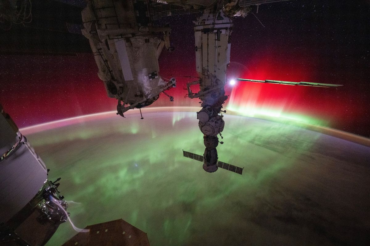 Astronaut wows space watchers with jaw-dropping aurora pictures