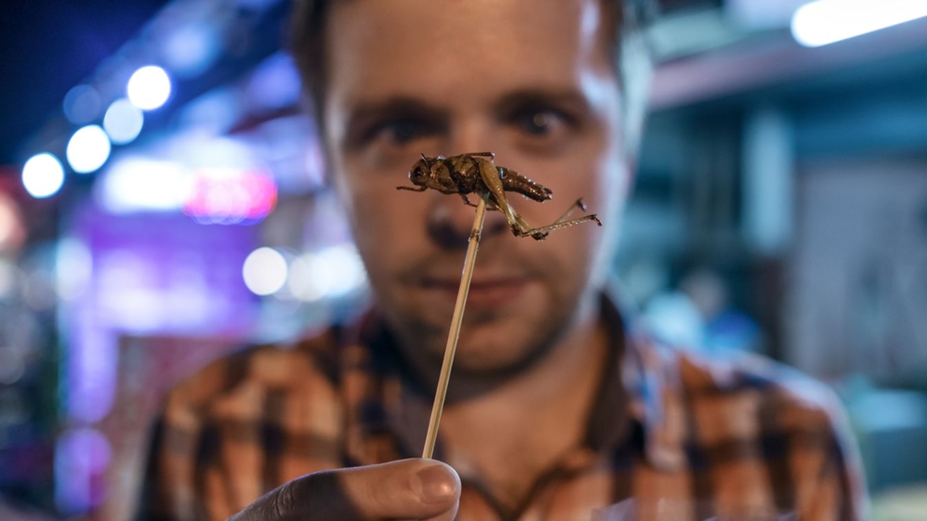 Caucasian,Young,Male,Eating,Cricket,At,Night,Market,In,Thailand.