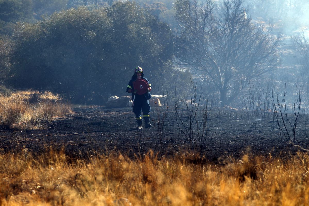 Wildfires in Greece 2024