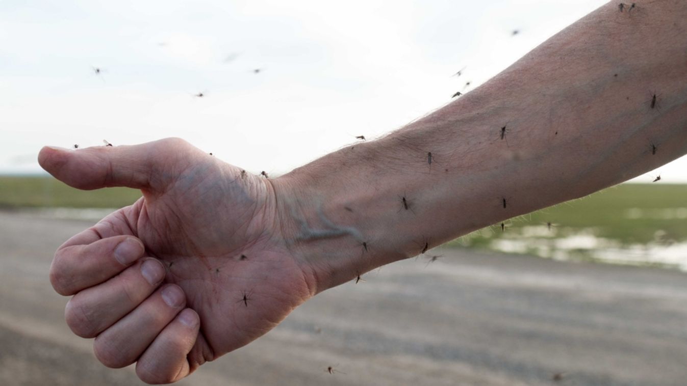 Man,Itching,And,Scratching,On,Hand,From,Allergy,Skin,Rash