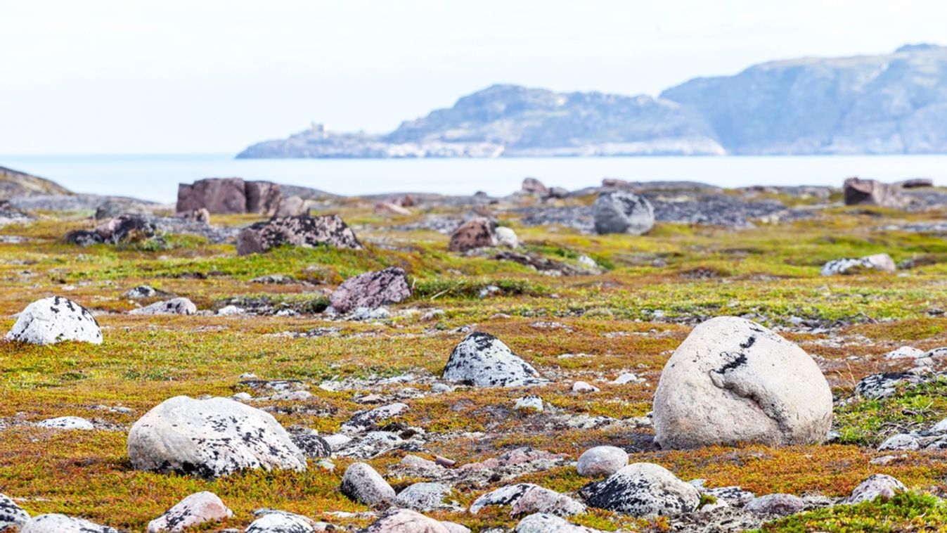 Summer,Tundra,Landscape,In,Murmansk,Region,,Russia