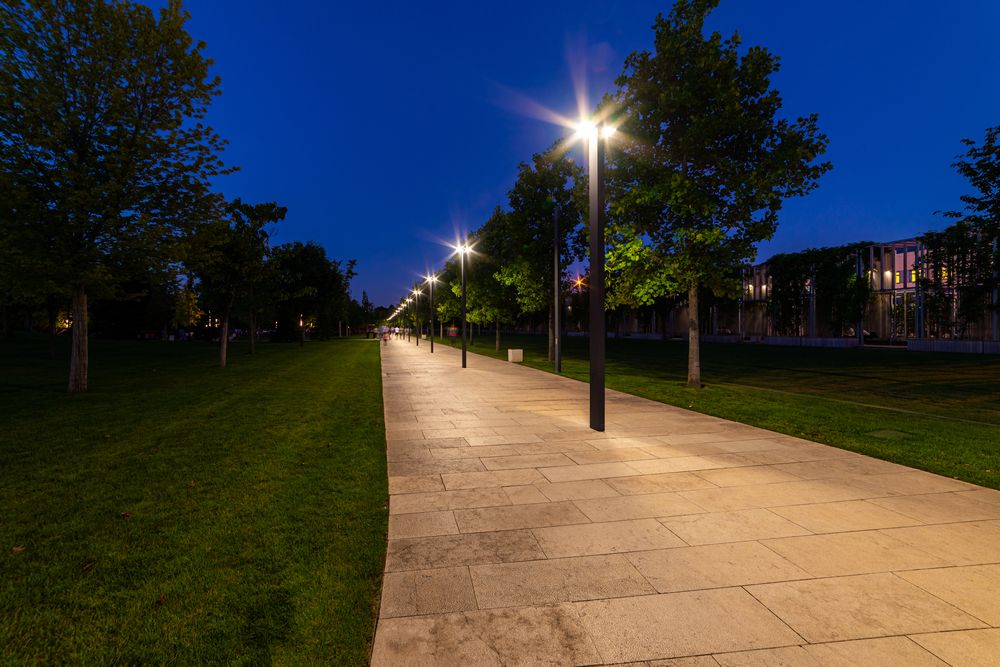 Maple,Alley,In,French,Garden,In,Public,Landscape,City,Park