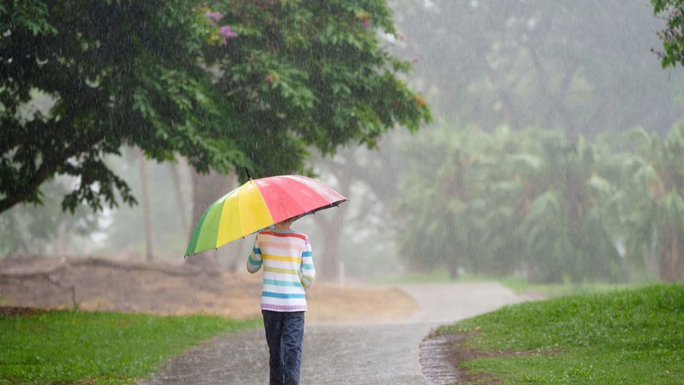 Child,Playing,In,Autumn,Rain.,Kid,Jumping,In,Muddy,Puddle