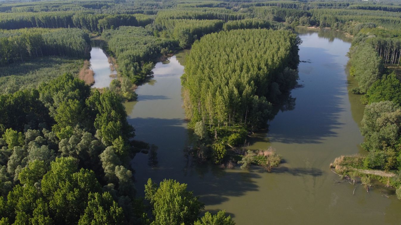 Szigetköz,In,Hungary.,Breathtaking,Untouched,Nature,By,Danube,Island