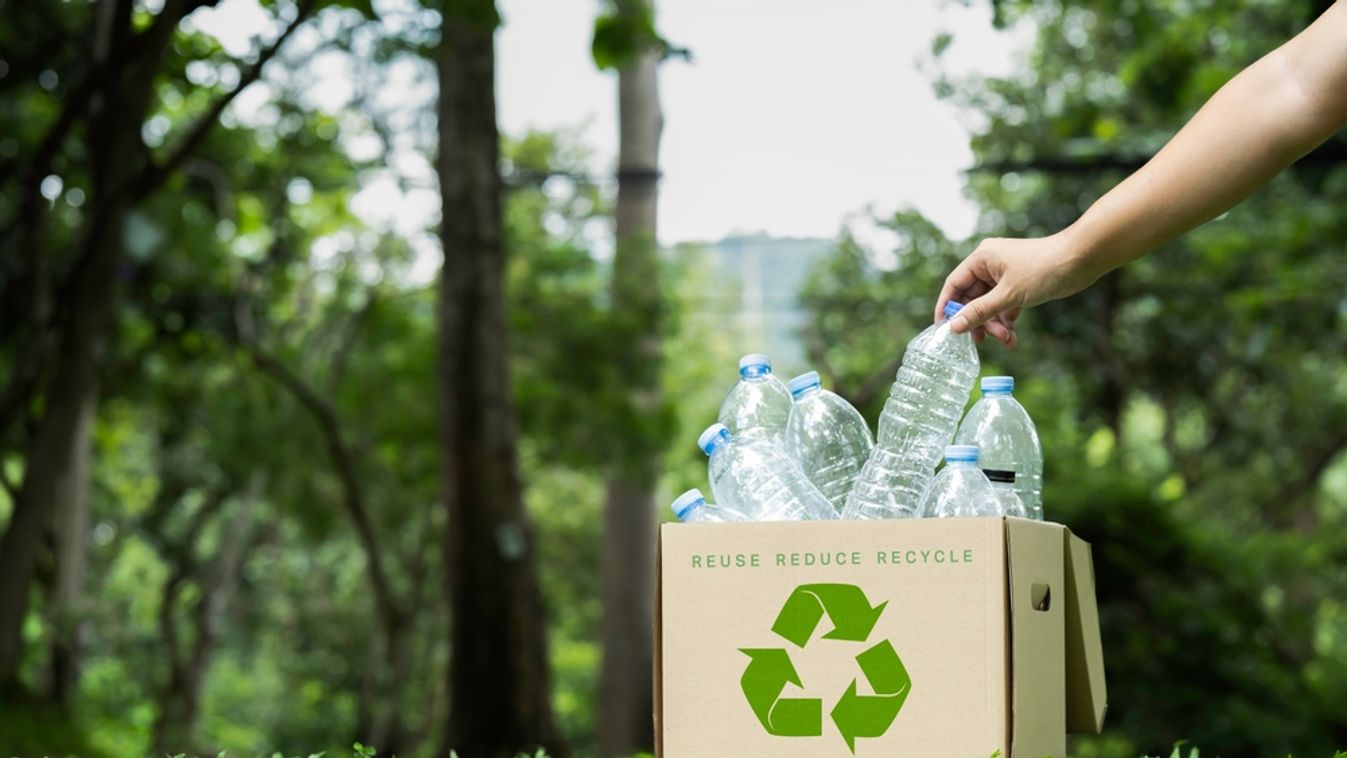 Hand,Holding,Plastic,Bottle,Put,In,A,Box,To,Recycling