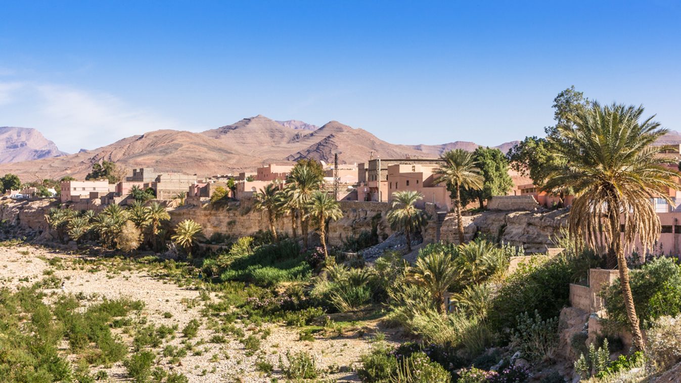 Houses,And,Palms,Of,The,City,Of,Tata,,Morocco