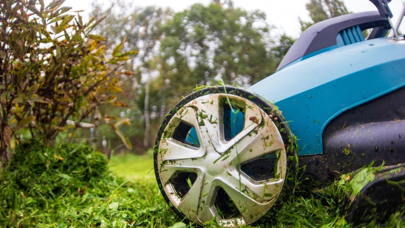 Happy,Retired,Senior,Person,Mows,A,Lawn,In,His,Garden