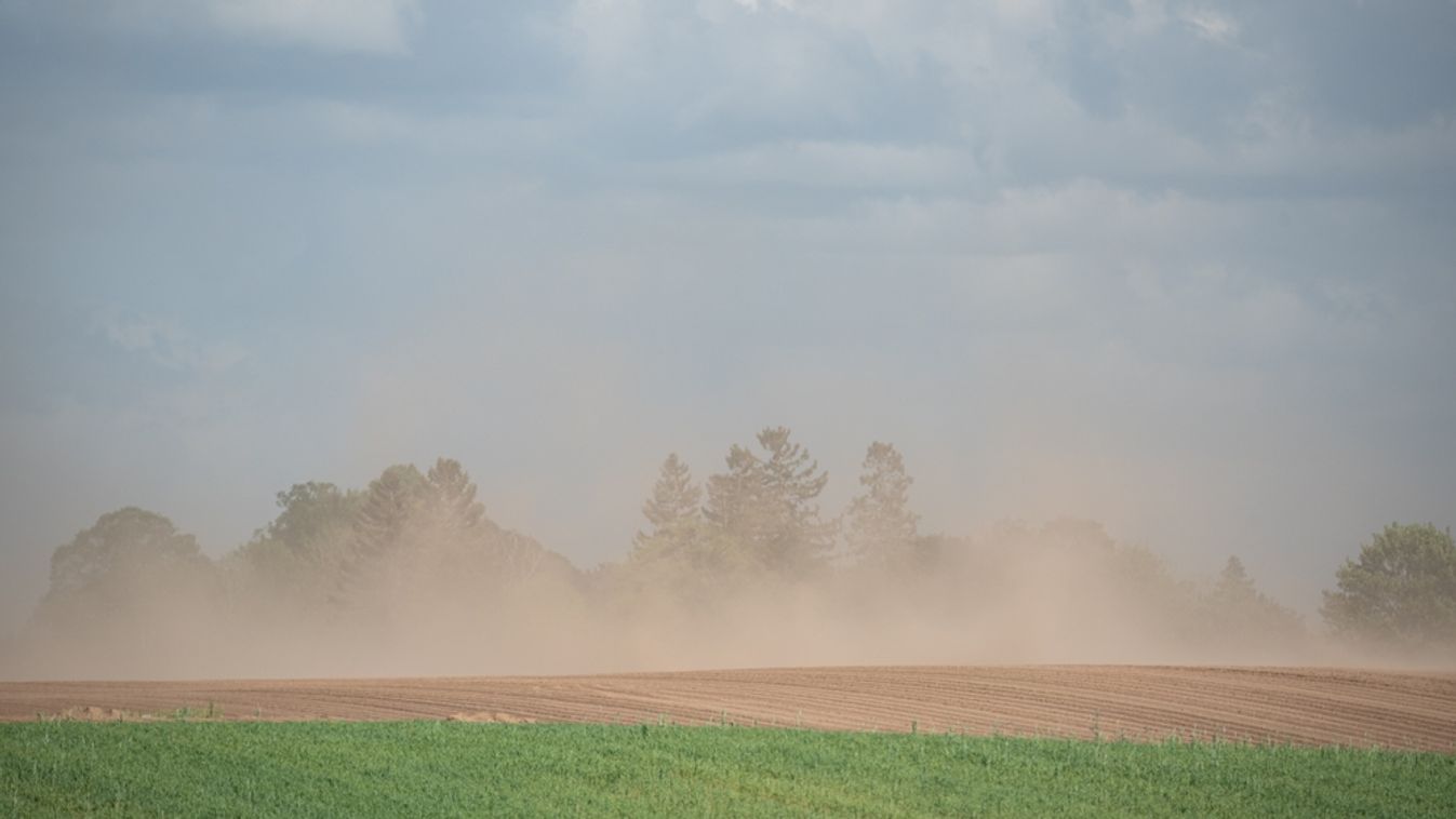 Sandstorm,Over,Farmland.,Silence,And,Wind,Blowing,A,Cloud,Of