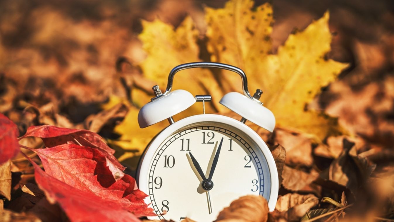 Alarm,Clock,On,Autumn,Leaves,On,Natural,Background